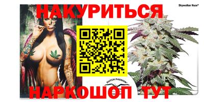 прущий лед Гай