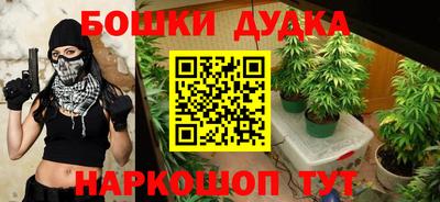 прущие грибы Гагарин