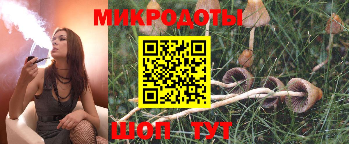 Галлюциногенные грибы прущие грибы Мытищи