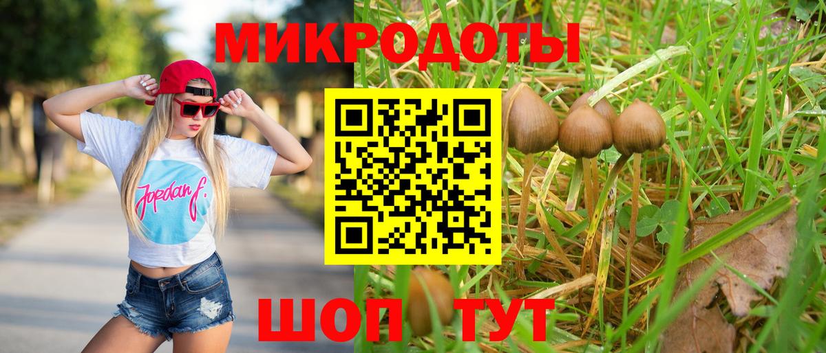 Псилоцибиновые грибы Cubensis  Вход с VPN  Мытищи 